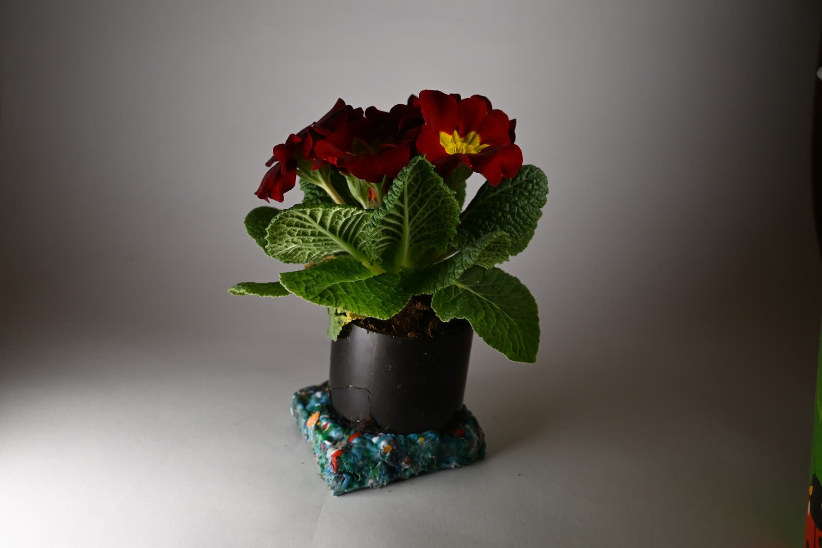 Objects moulded from glass and plastic waste