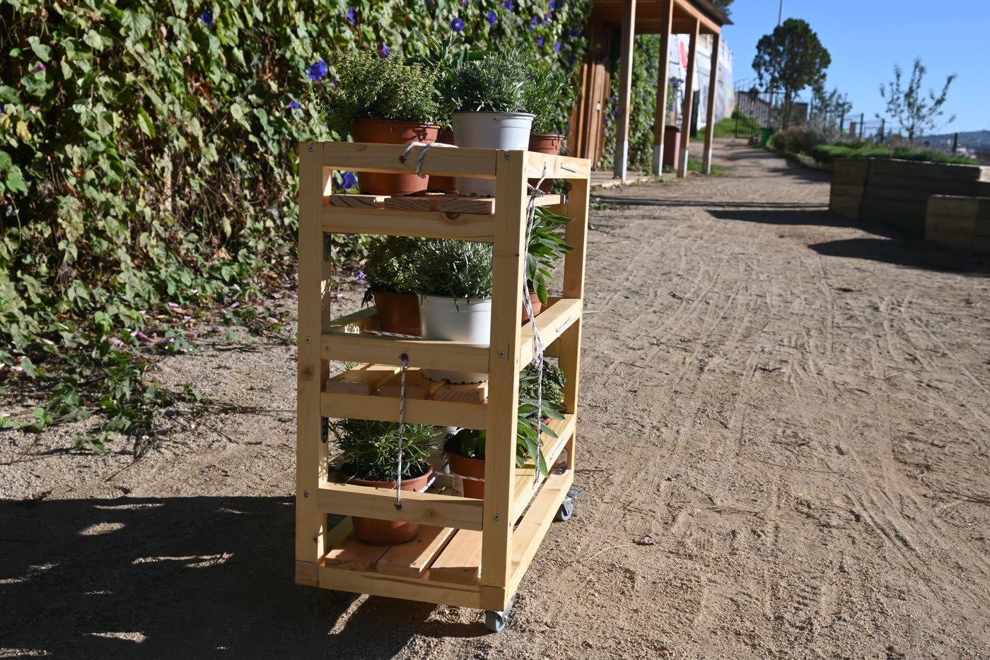 A planted shelf standing in the communal garden