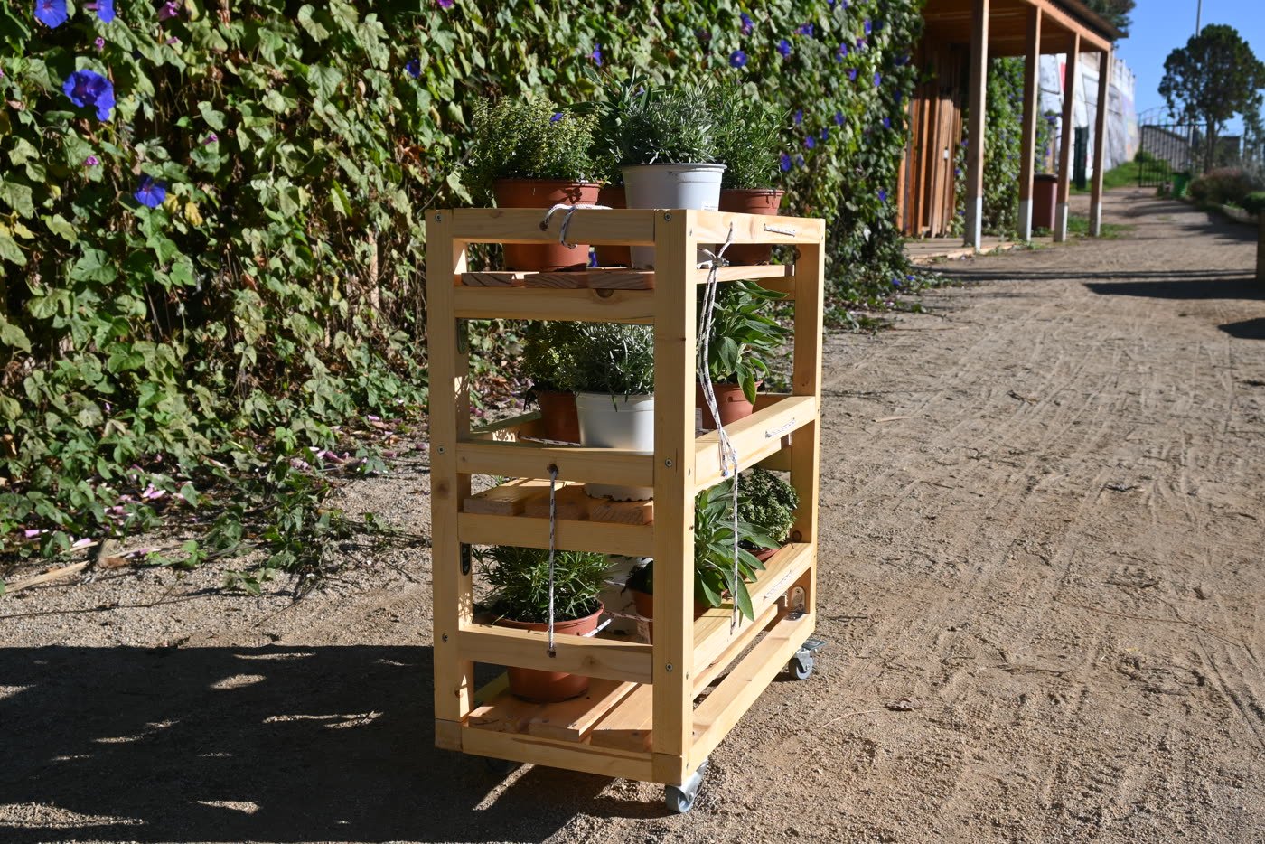 A planted shelf standing in the communal garden