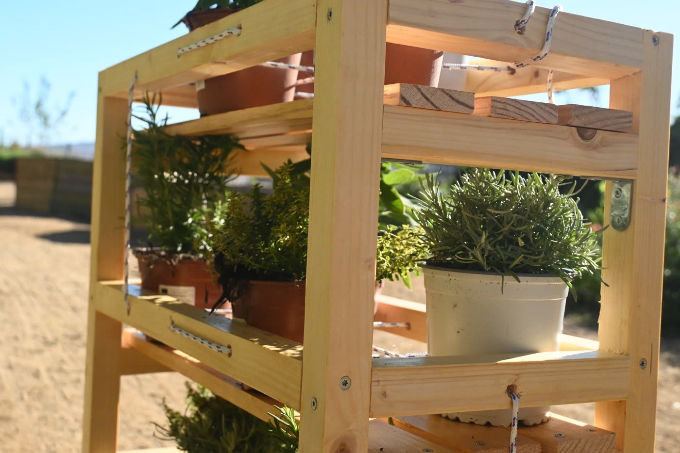 A planted shelf standing in the communal garden