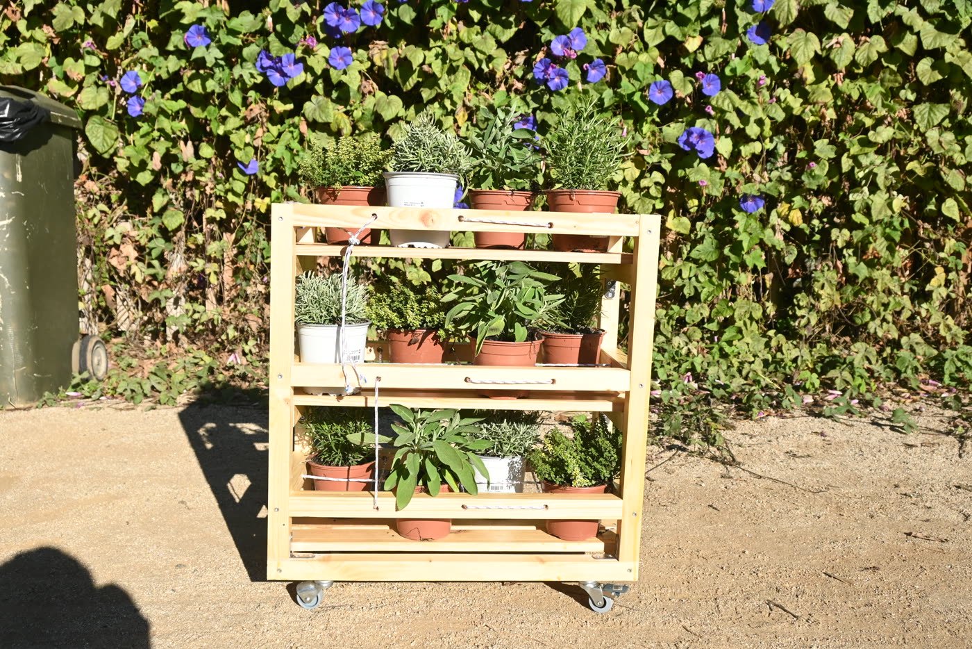 A planted shelf standing in the communal garden