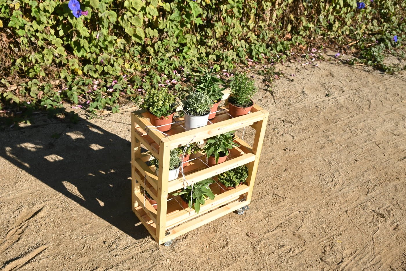 A planted shelf standing in the communal garden