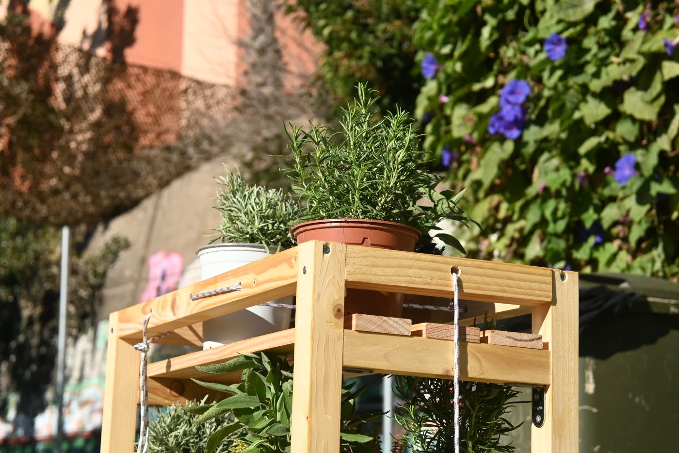 A planted shelf standing in the communal garden