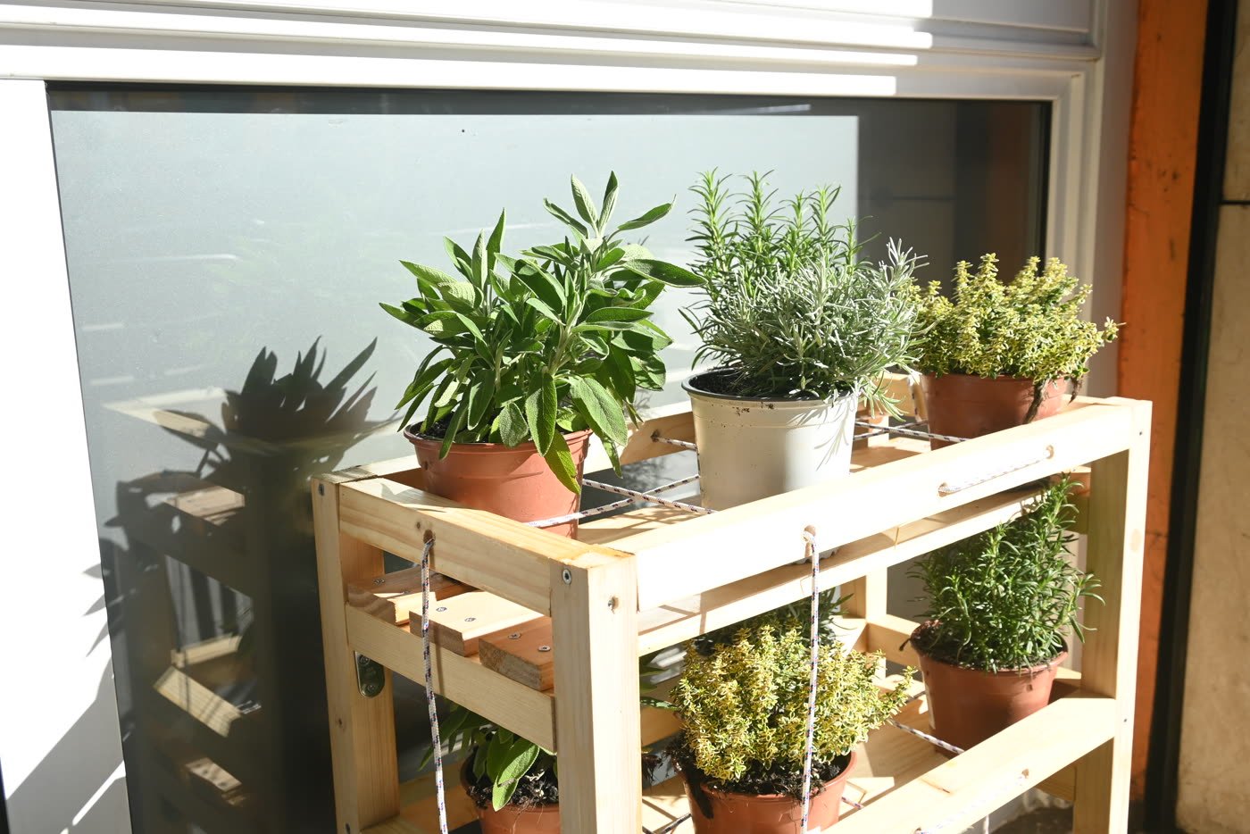 A shelf delivered to its shop