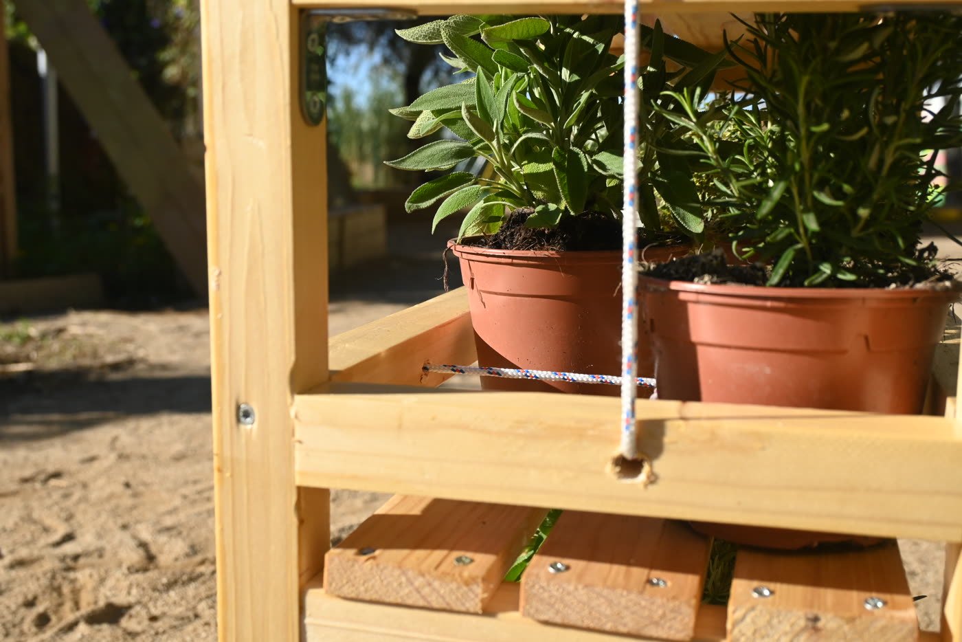 A planted shelf standing in the communal garden