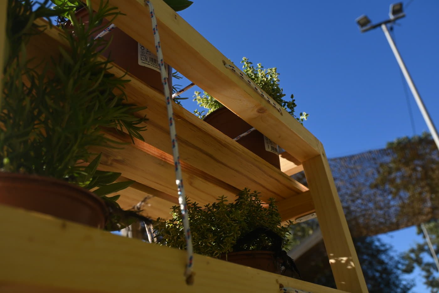 A planted shelf standing in the communal garden
