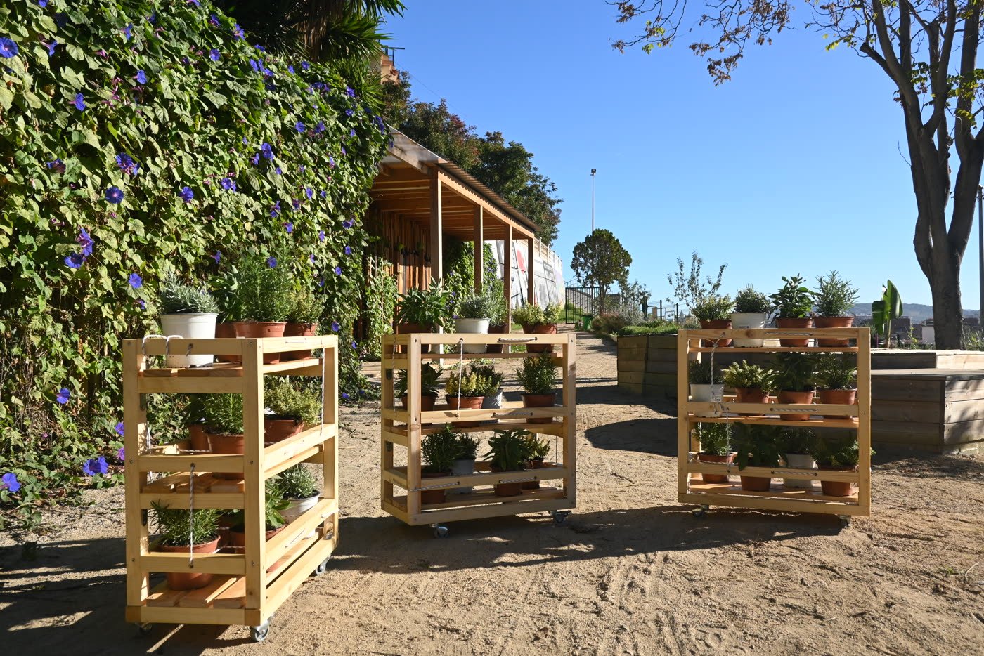 A planted shelf standing in the communal garden
