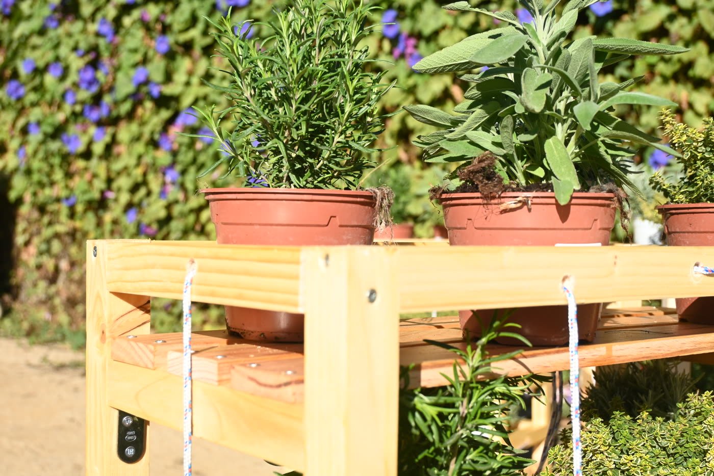 A planted shelf standing in the communal garden