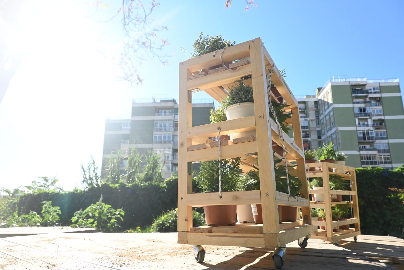 Shelves lined up on the terrace, the tower blocks of Hospitalet behind