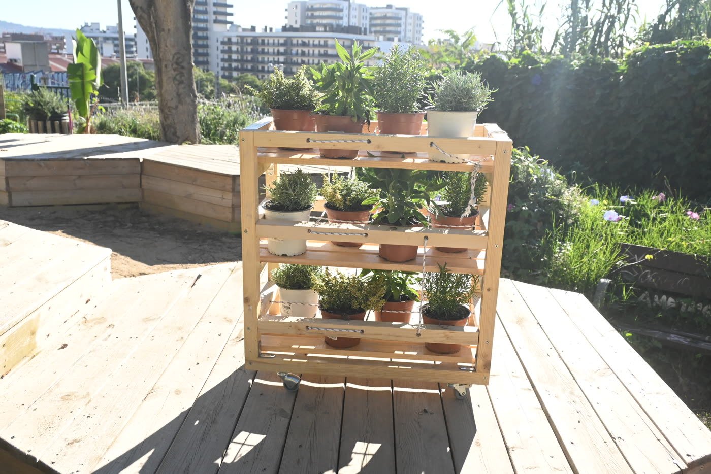 Shelves lined up on the terrace, the tower blocks of Hospitalet behind