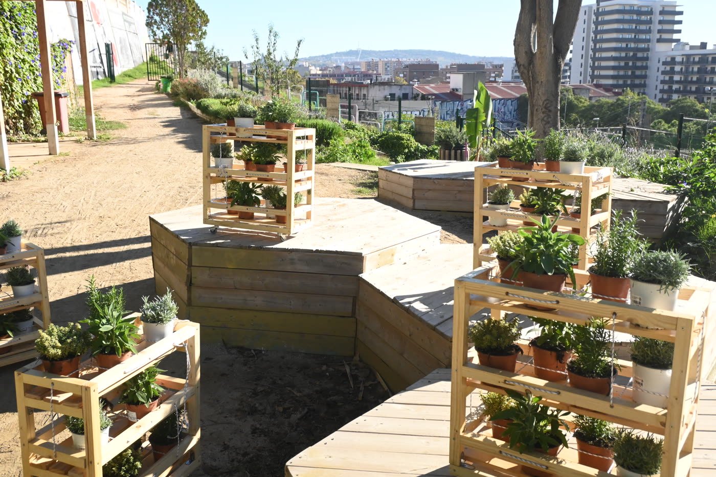 Shelves lined up on the terrace, the tower blocks of Hospitalet behind