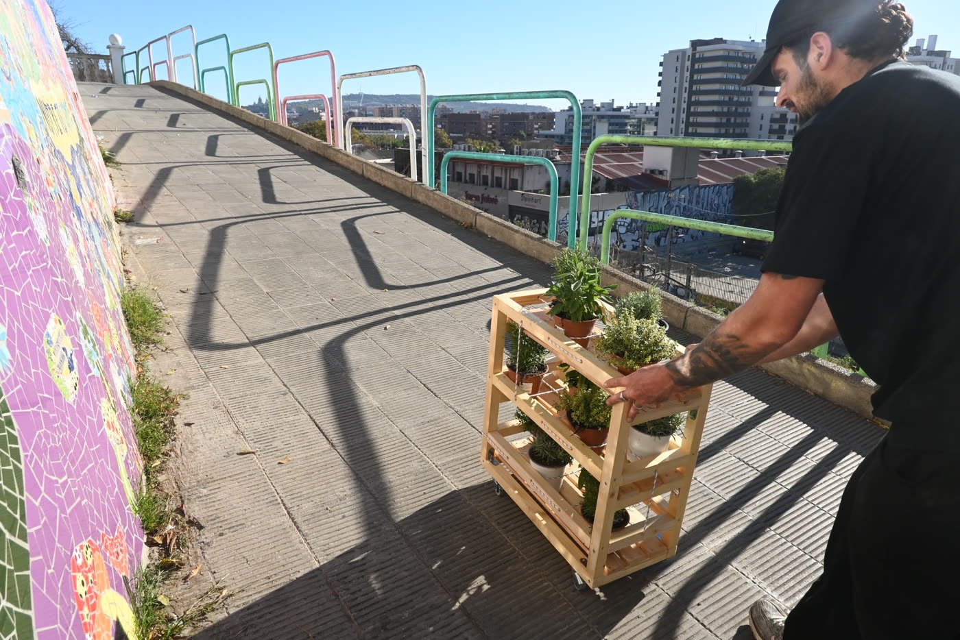 Shelves lined up on the terrace, the tower blocks of Hospitalet behind