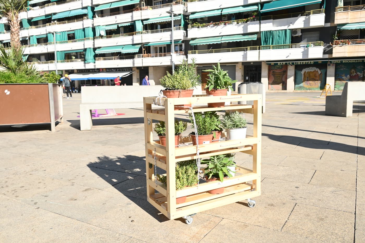 Setting the shelves out in Plaza de la Libertad