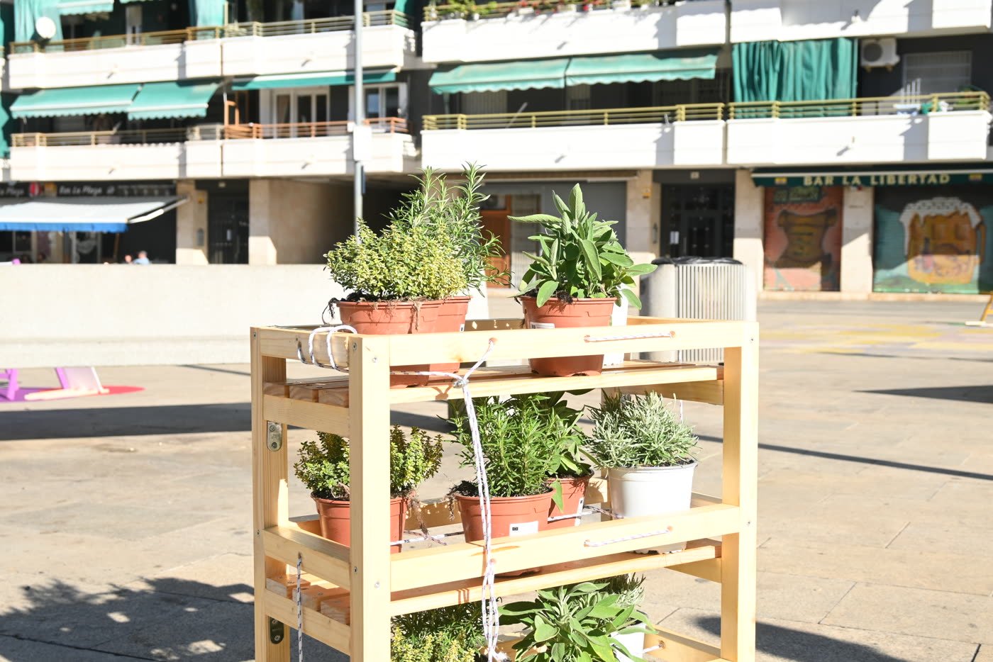 Setting the shelves out in Plaza de la Libertad