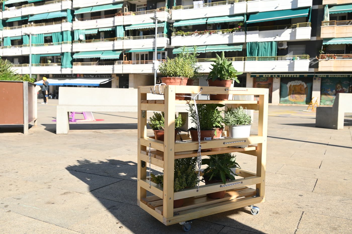 Setting the shelves out in Plaza de la Libertad