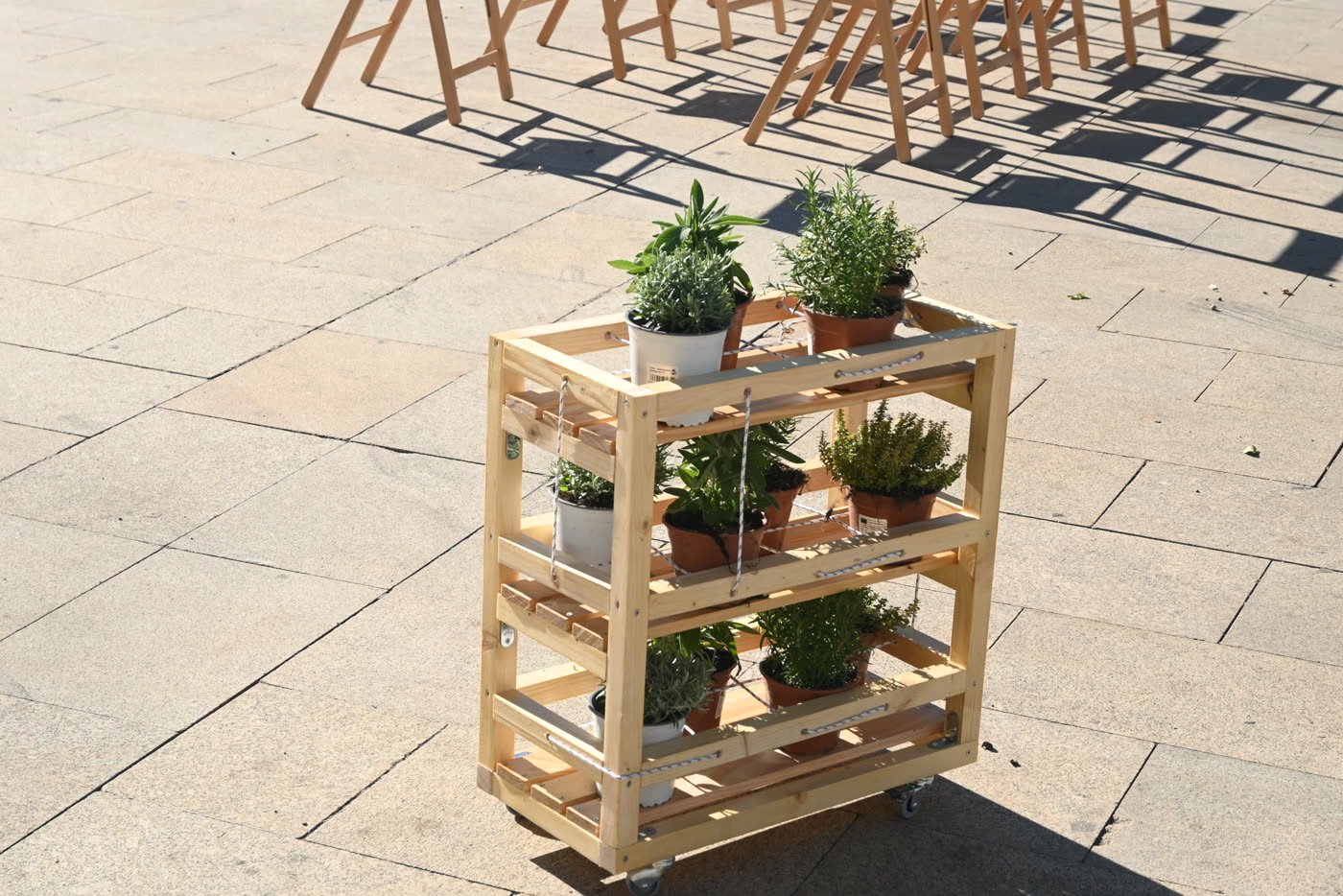 Setting the shelves out in Plaza de la Libertad