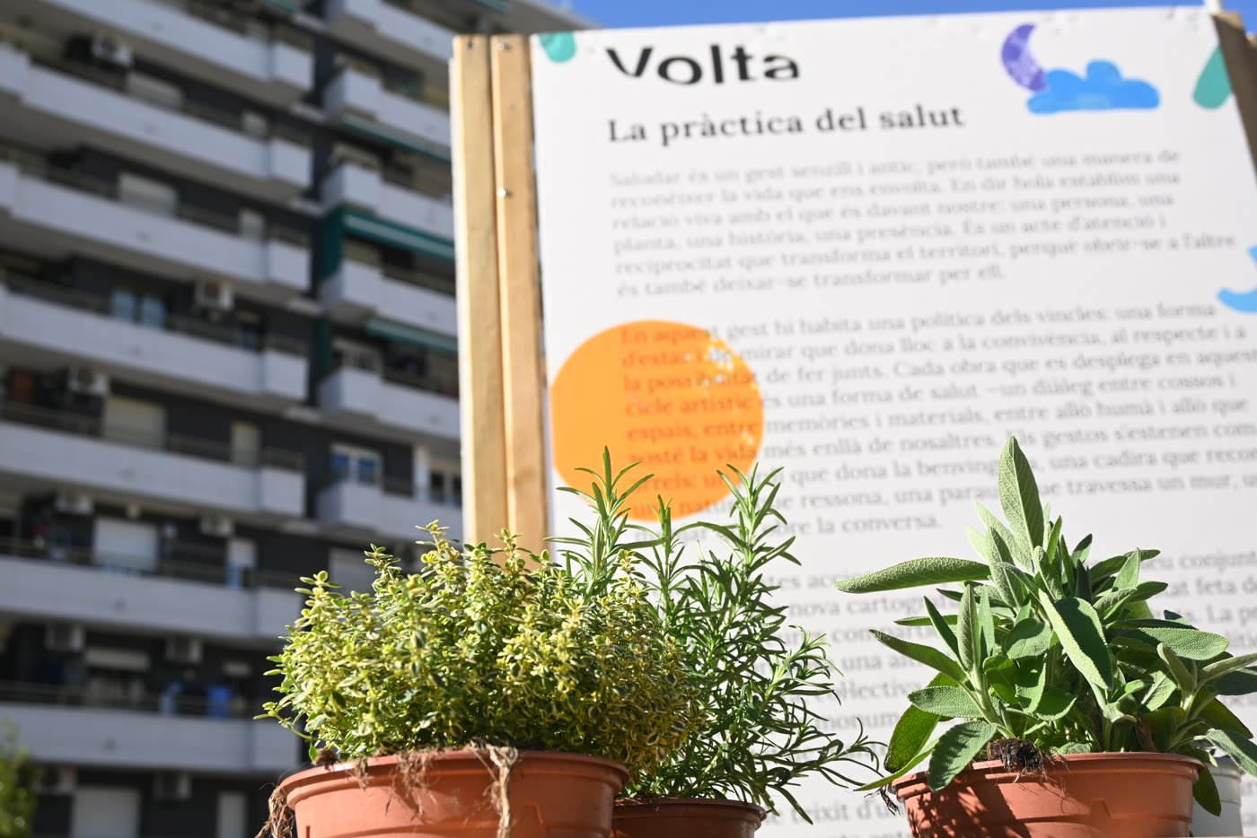 A shelf in the plaza, beside the panel explaining the project