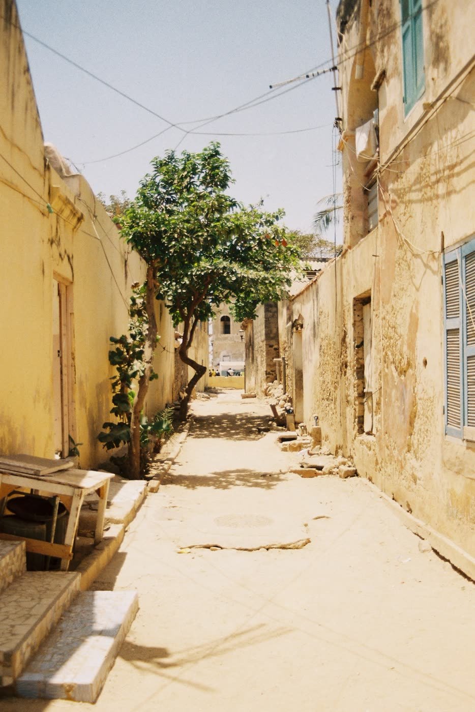 From the trip through Dakar, Saint-Louis and Casamance