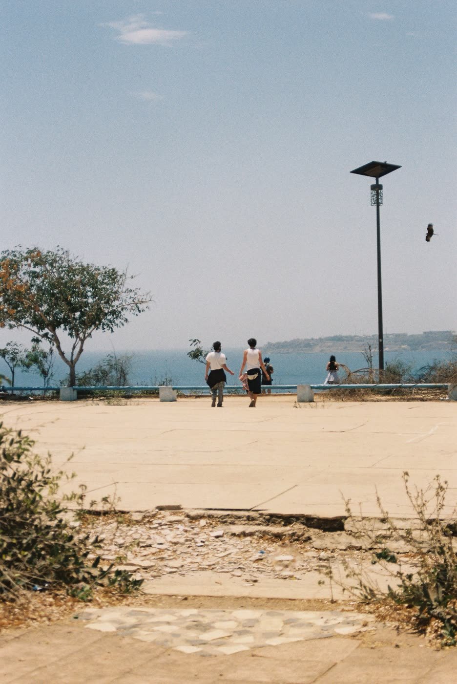 From the trip through Dakar, Saint-Louis and Casamance