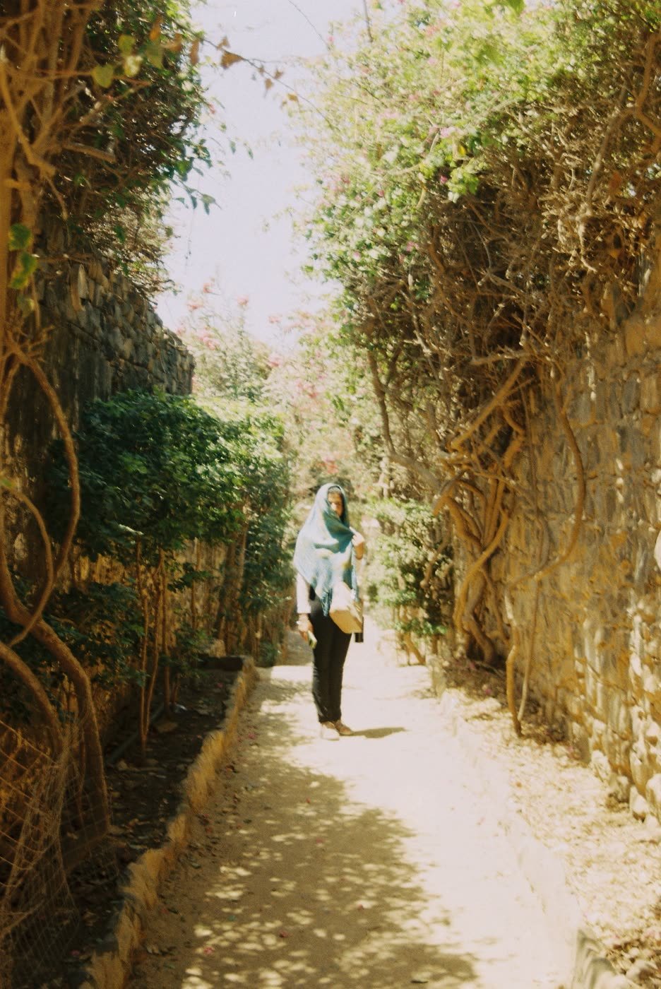 From the trip through Dakar, Saint-Louis and Casamance