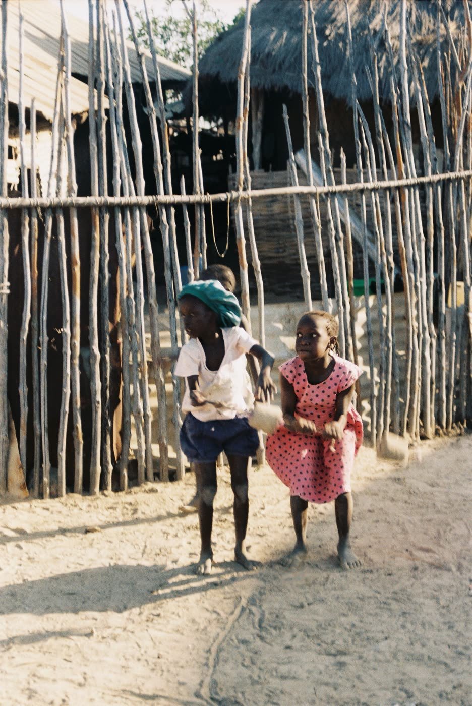 From the trip through Dakar, Saint-Louis and Casamance